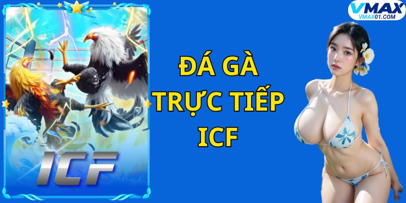 Đá gà trực tiếp ICF tại Vmax