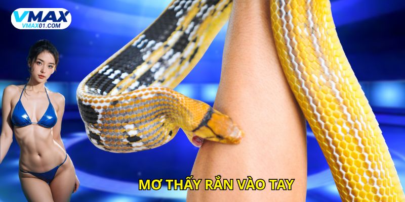 Giấc mơ bị rắn cắn vào tay